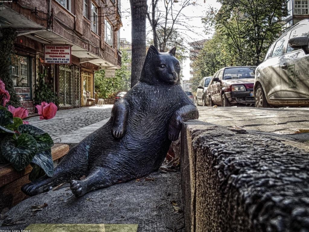 លក្ខណៈពិសេសនៃព័ត៌មានផ្សេងៗ