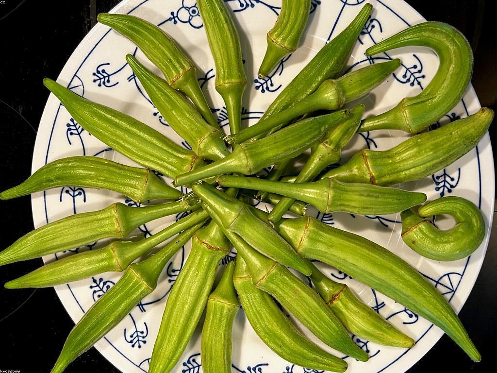 ឱកាសវិនិយោគក្នុងកសិកម្មចីរៈ